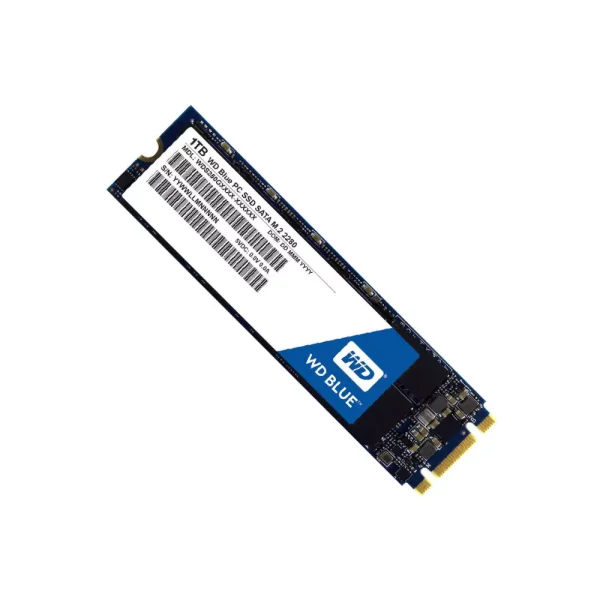 اس اس دی 1 ترابایت وسترن دیجیتال Western Digital BLUE M.2