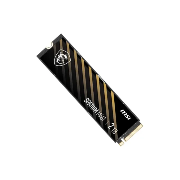 اس اس دی 2 ترابایت ام اس آی MSI SPATIUM M461 PCIe 4.0 NVMe M.2 2280