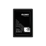 اس اس دی  960 گیگابایت 2.5 اینچ گلووی SATA Gloway