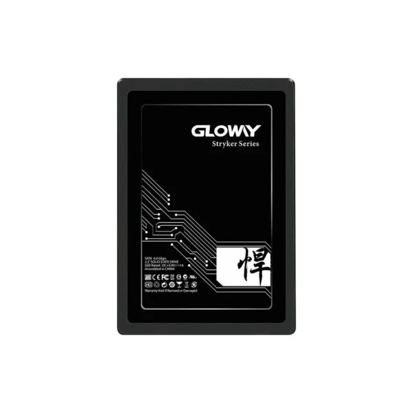 اس اس دی  960 گیگابایت 2.5 اینچ گلووی SATA Gloway