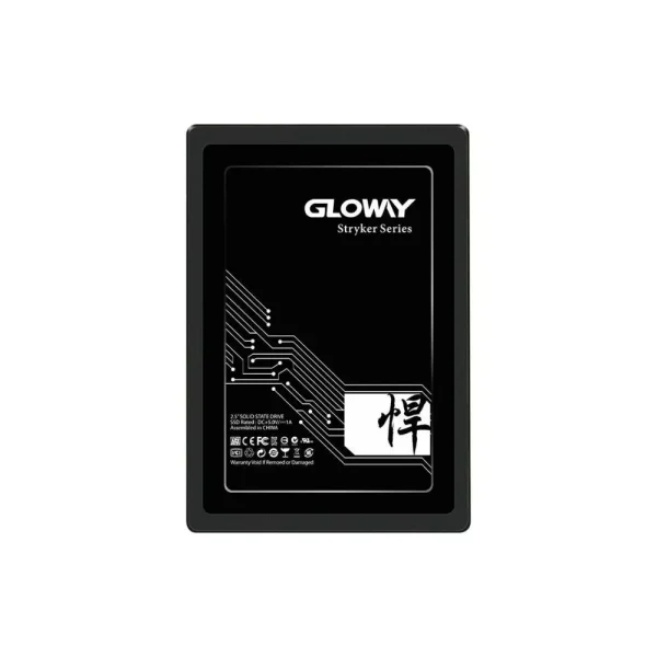 اس اس دی 120 گیگابایت 2.5 اینچ گلووی SATA Gloway
