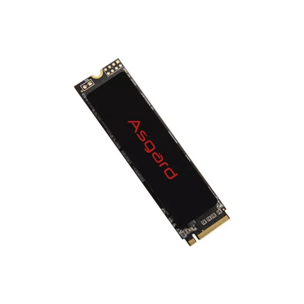 اس اس دی 500 گیگابایت ازگارد Asgard AN2 NVMe