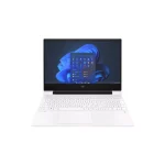 لپ تاپ اچ پی HP Victus 15-FA1040NE-Z Core i7 13700H/1TB SSD/16GB/RTX3050 6GB