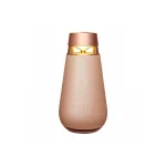 اسپیکر بلوتوث ال جی LG XBOOM 360 XO3QPK - Image 2