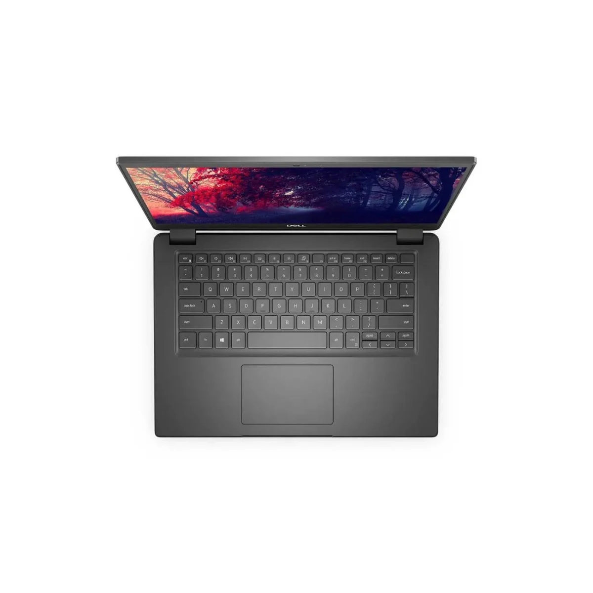 لپ تاپ دل Dell Latitude 3410 Ci Celeron 5205U/512GB SSD/4GB/Intel - Image 4